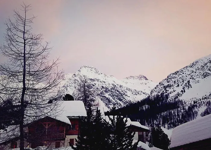 Hoeckli 1. 아로사